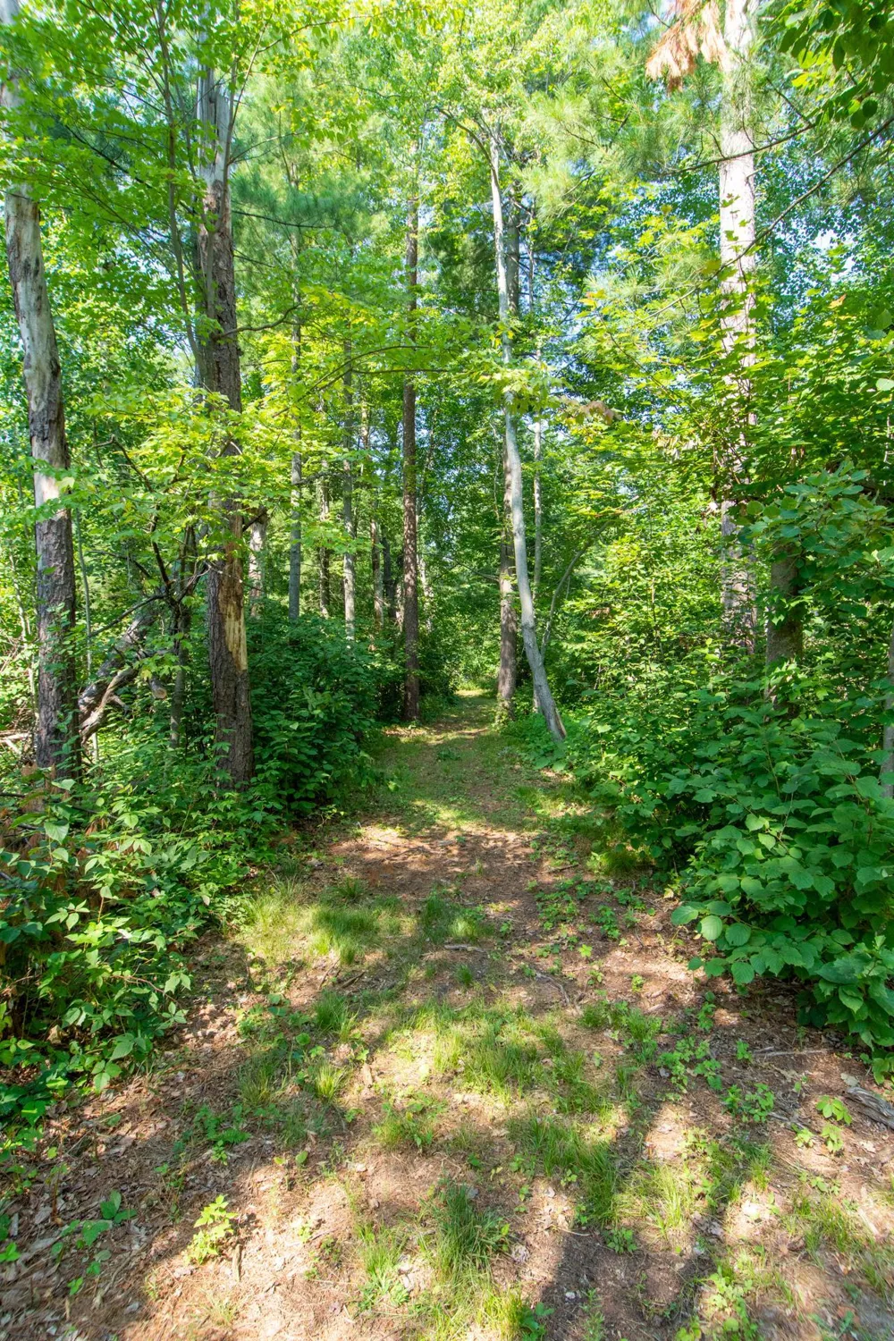 20839 State Highway 371 Brainerd, MN 56401