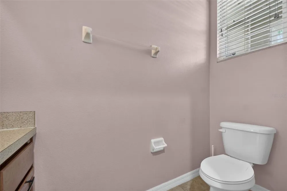 10406 ORCHID MIST COURT Riverview, FL 33578