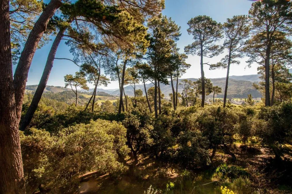 154 Del Mesa Carmel Carmel, CA 93923