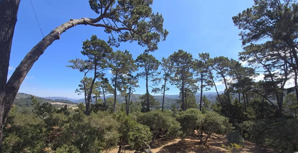 154 Del Mesa Carmel Carmel, CA 93923