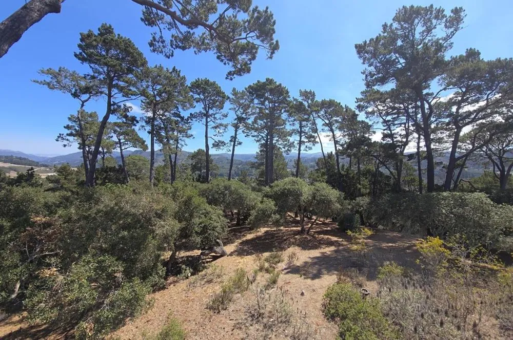 154 Del Mesa Carmel Carmel, CA 93923