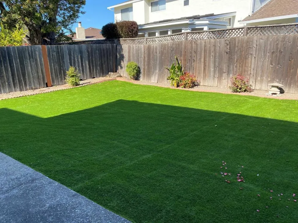 625 Comet Drive Foster City, CA 94404
