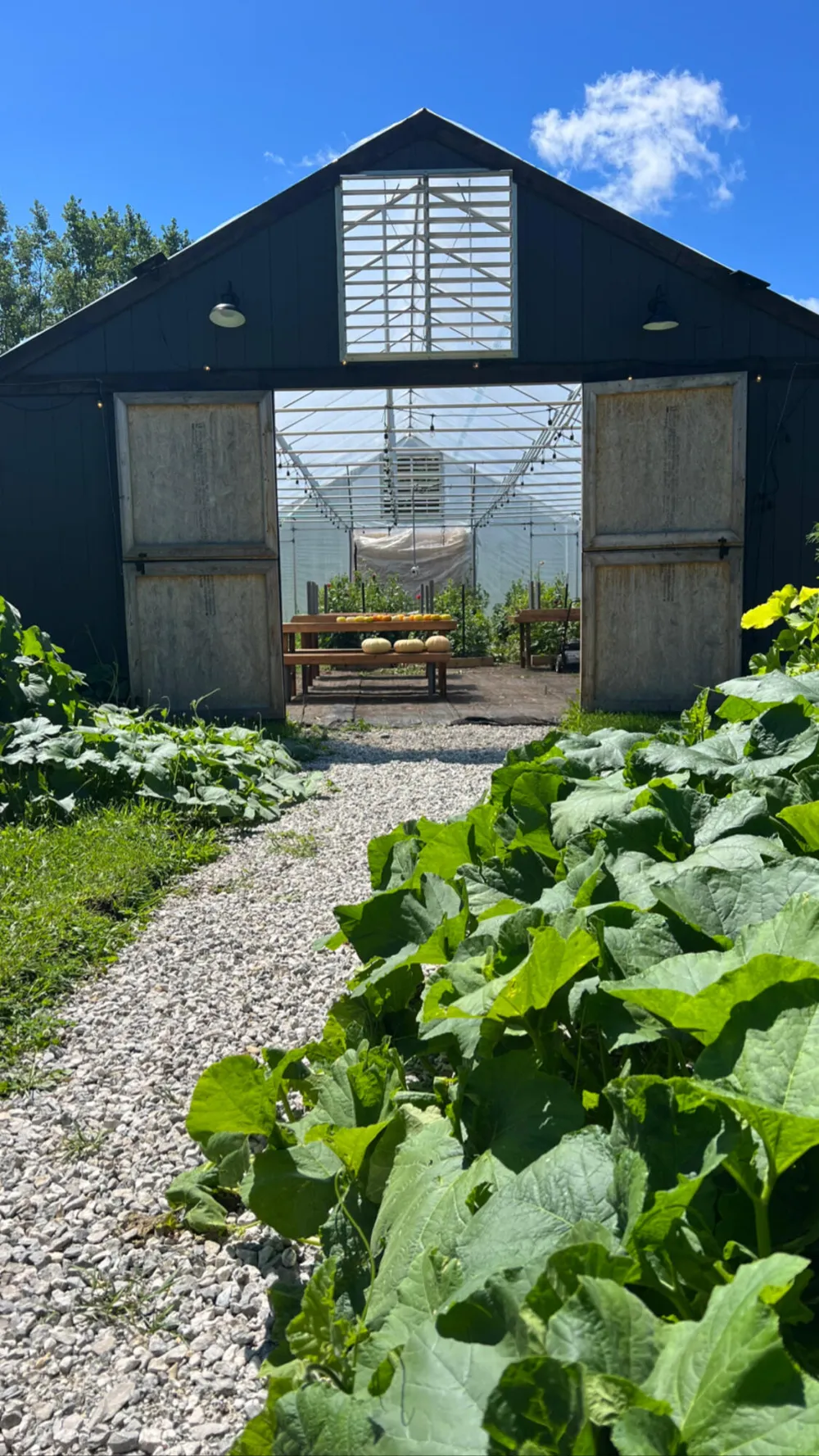 9962 Holden Road Baroda, MI 49101