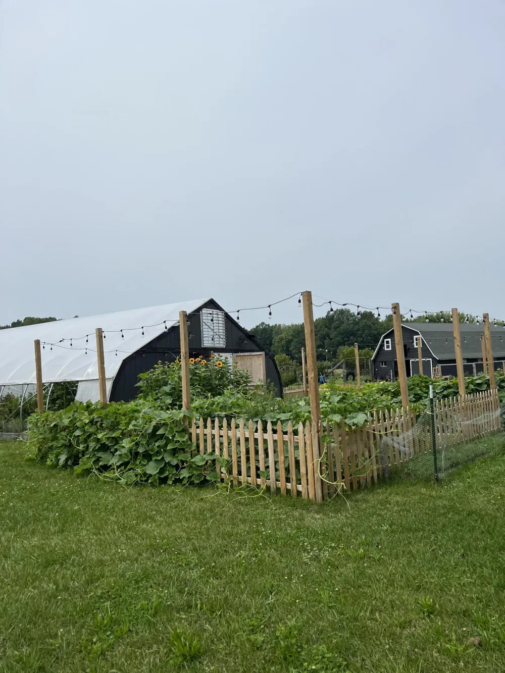 9962 Holden Road Baroda, MI 49101