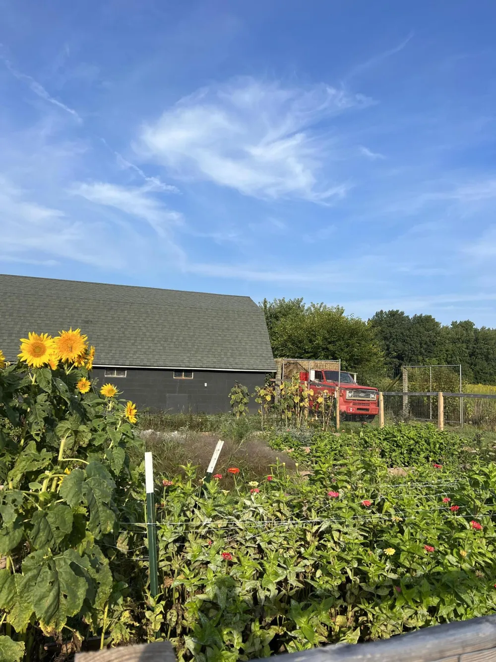 9962 Holden Road Baroda, MI 49101