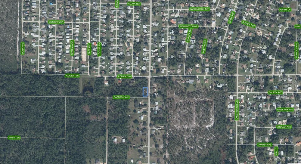1702 DAFFODIL AVENUE Sebring, FL 33875