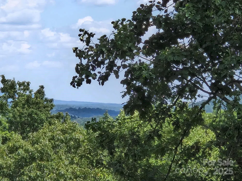 Lot 34 Hawks Nest Trail Lake Lure, NC 28746