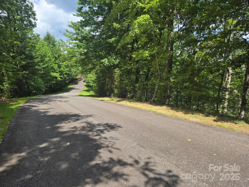 Lot 34 Hawks Nest Trail Lake Lure, NC 28746