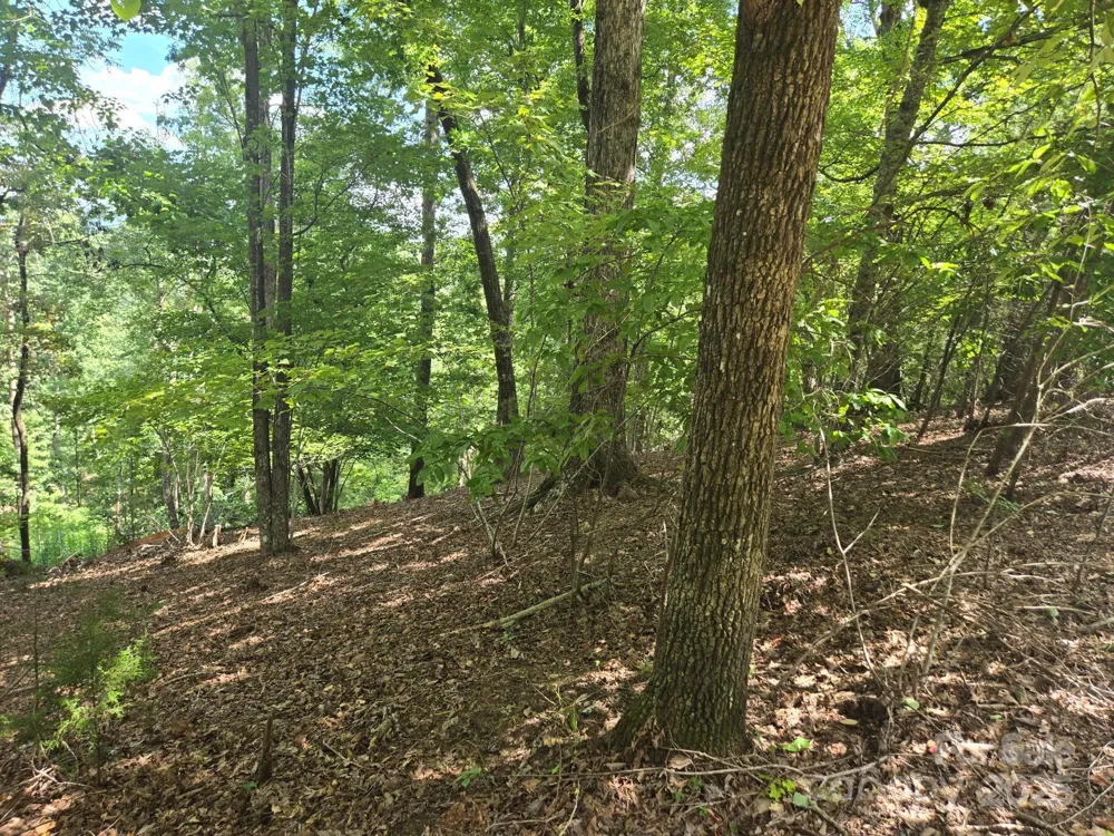 Lot 34 Hawks Nest Trail Lake Lure, NC 28746