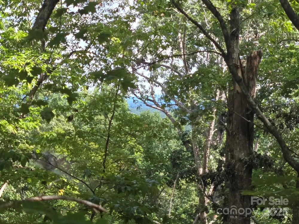 Lot 34 Hawks Nest Trail Lake Lure, NC 28746