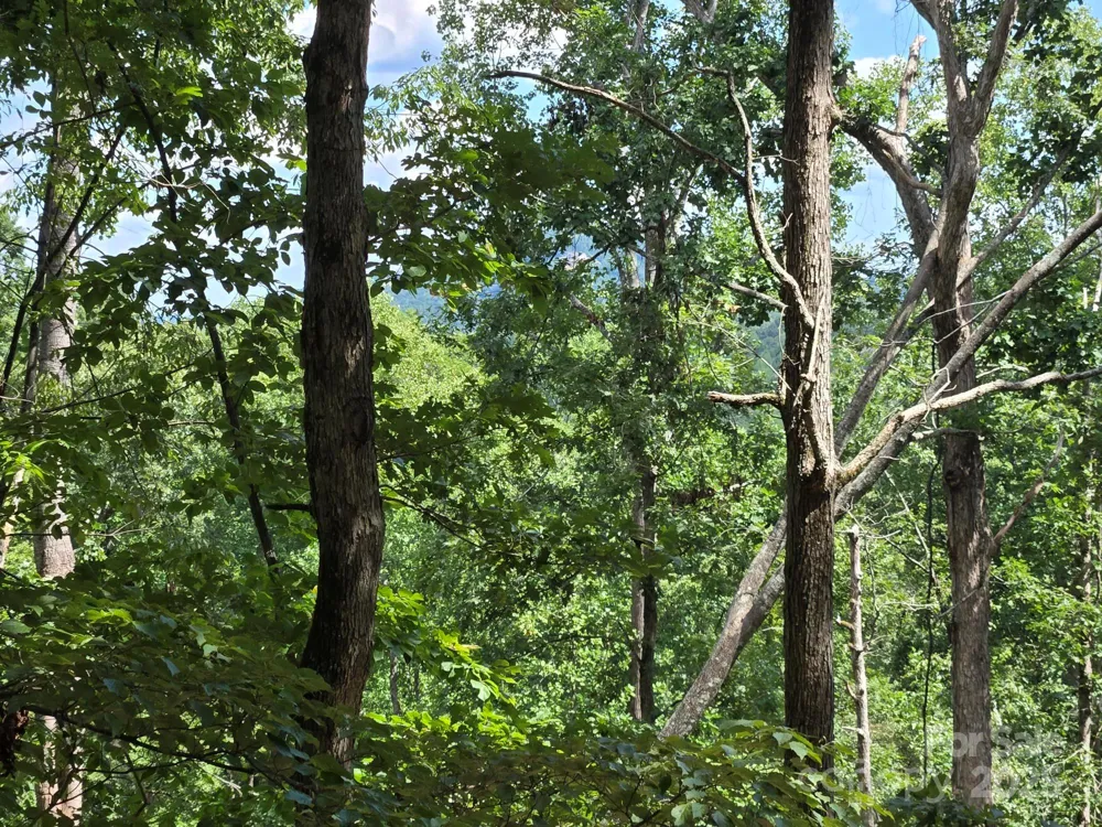 Lot 34 Hawks Nest Trail Lake Lure, NC 28746