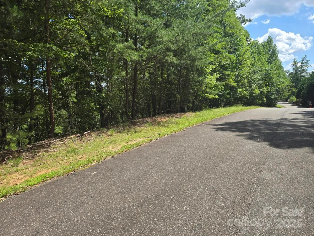 Lot 34 Hawks Nest Trail Lake Lure, NC 28746