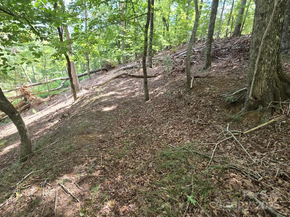 Lot 34 Hawks Nest Trail Lake Lure, NC 28746