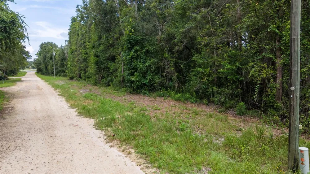 0 HWY 19 Chiefland, FL 32626