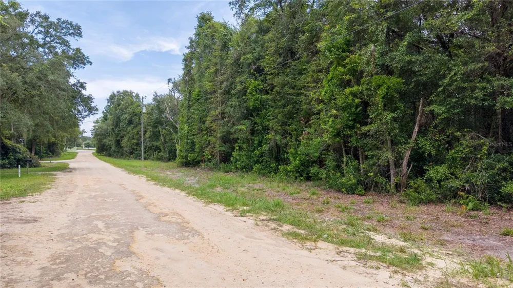 0 HWY 19 Chiefland, FL 32626