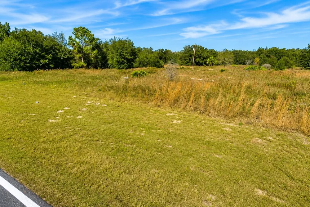 SE 113TH ST RD Ocklawaha, FL 32179