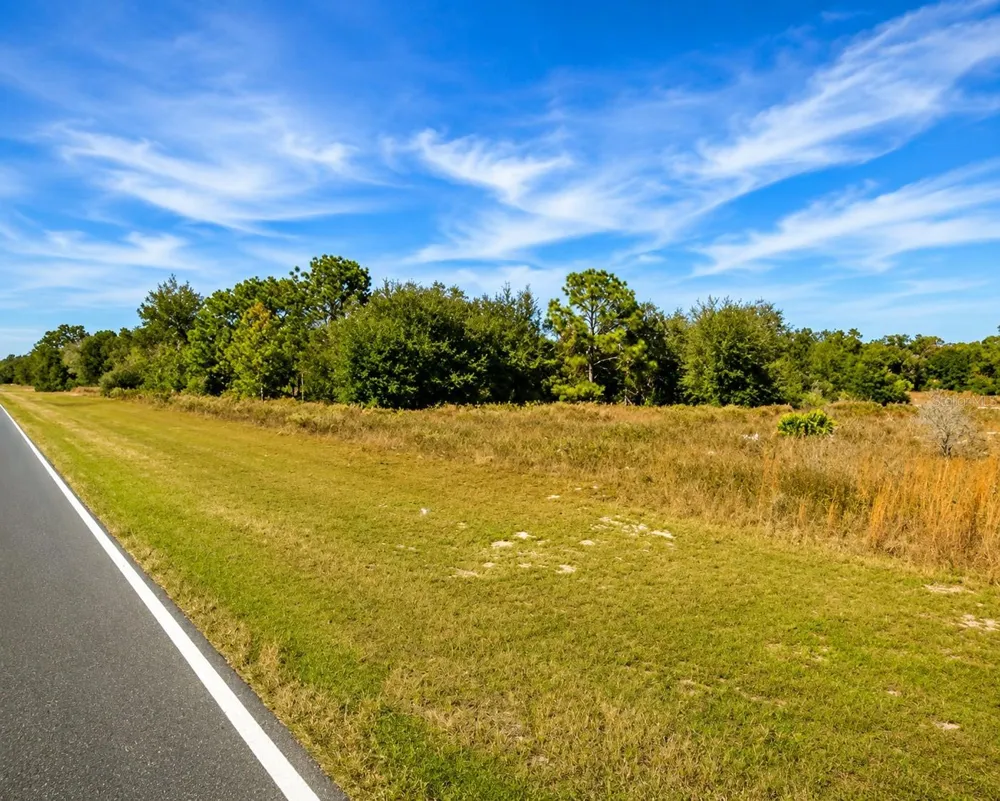 SE 113TH ST RD Ocklawaha, FL 32179