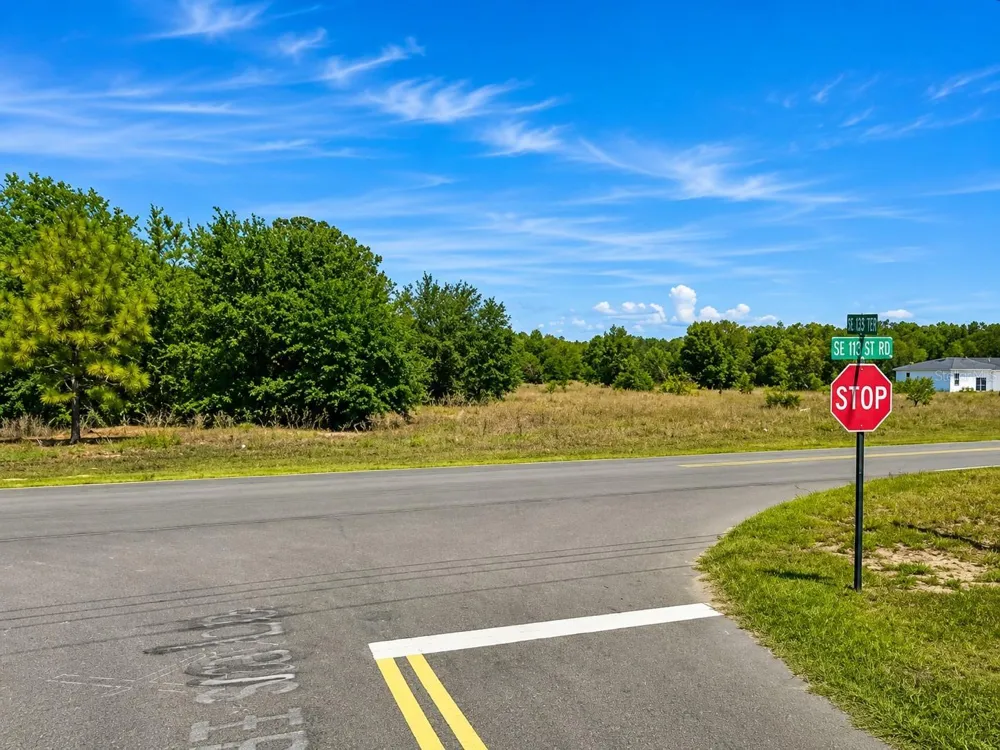 SE 113TH ST RD Ocklawaha, FL 32179