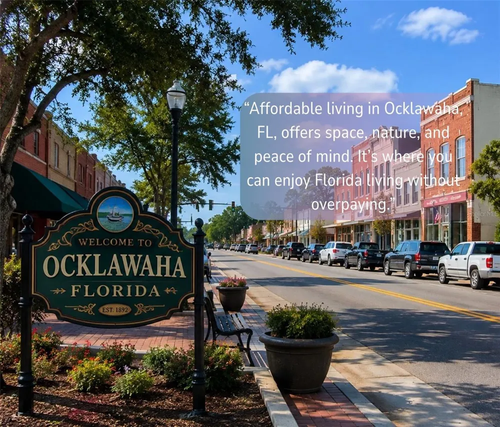 SE 113TH ST RD Ocklawaha, FL 32179