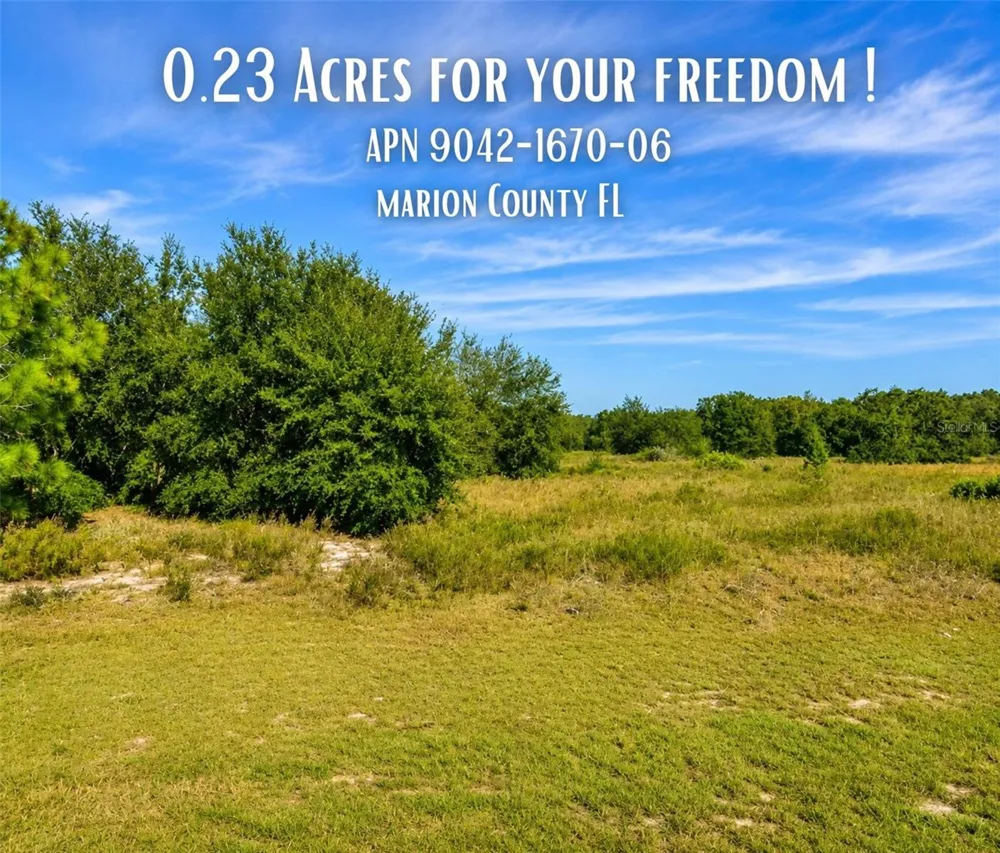 SE 113TH ST RD Ocklawaha, FL 32179