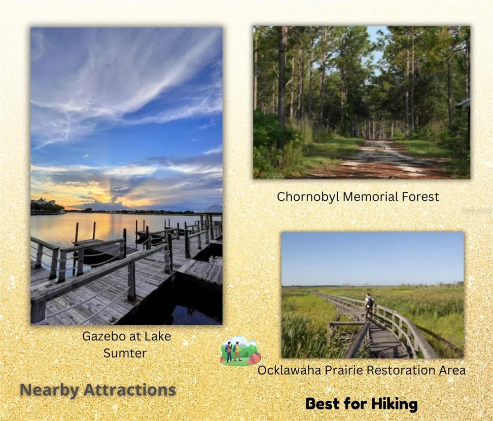 SE 113TH ST RD Ocklawaha, FL 32179