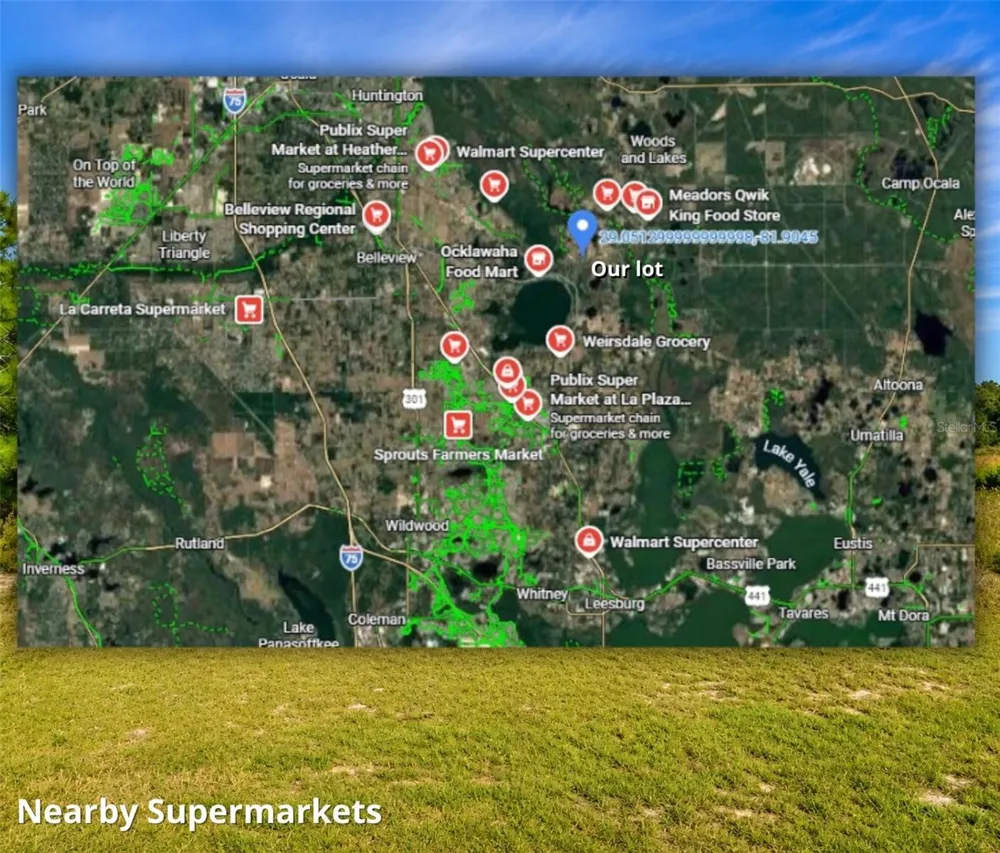 SE 113TH ST RD Ocklawaha, FL 32179