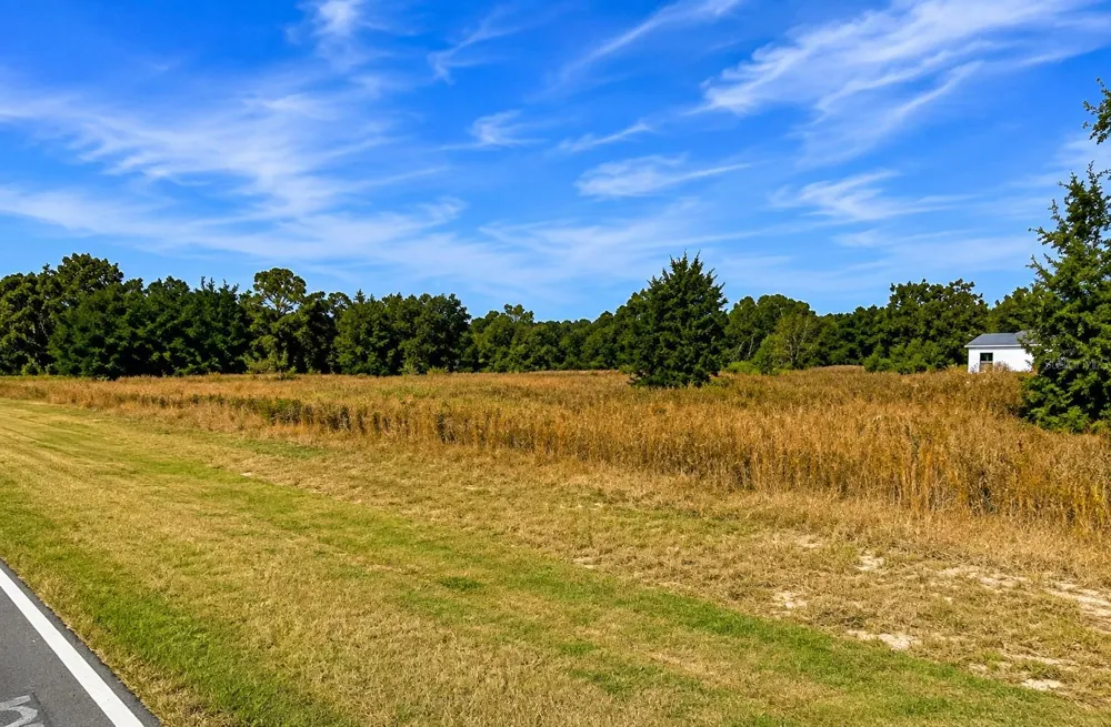 SE 113TH ST RD Ocklawaha, FL 32179