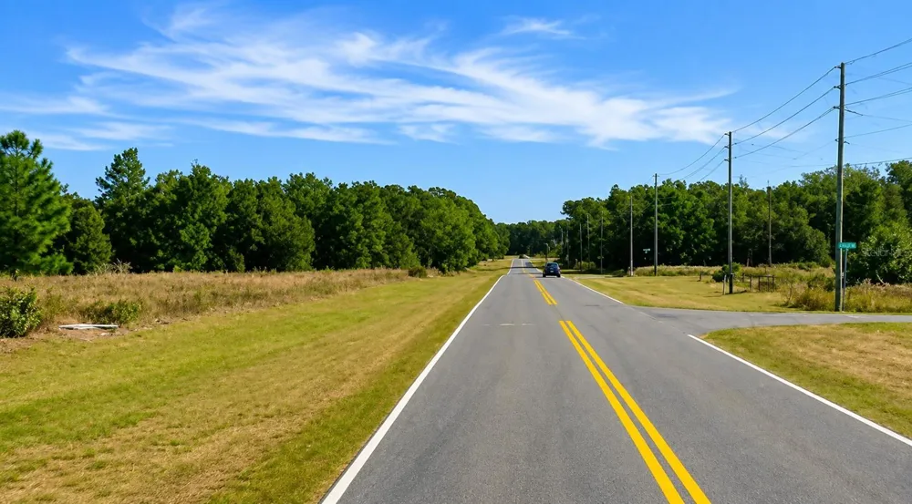 SE 113TH ST RD Ocklawaha, FL 32179