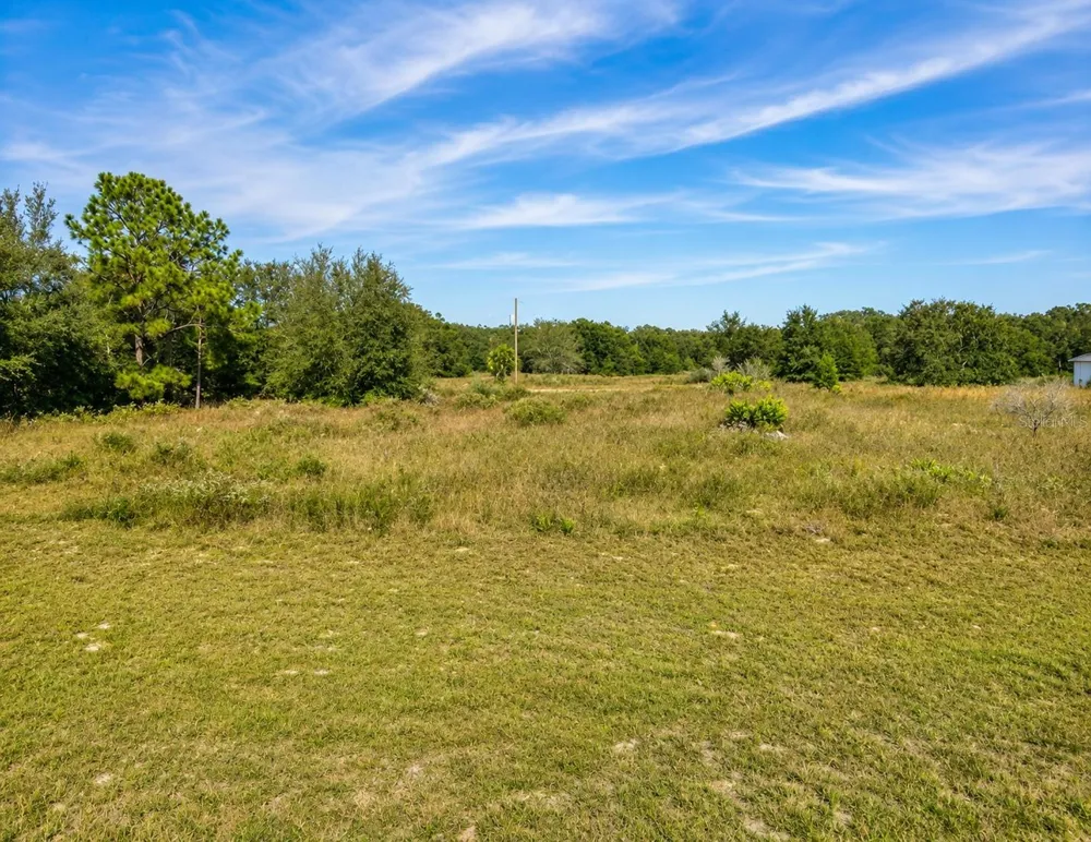SE 113TH ST RD Ocklawaha, FL 32179