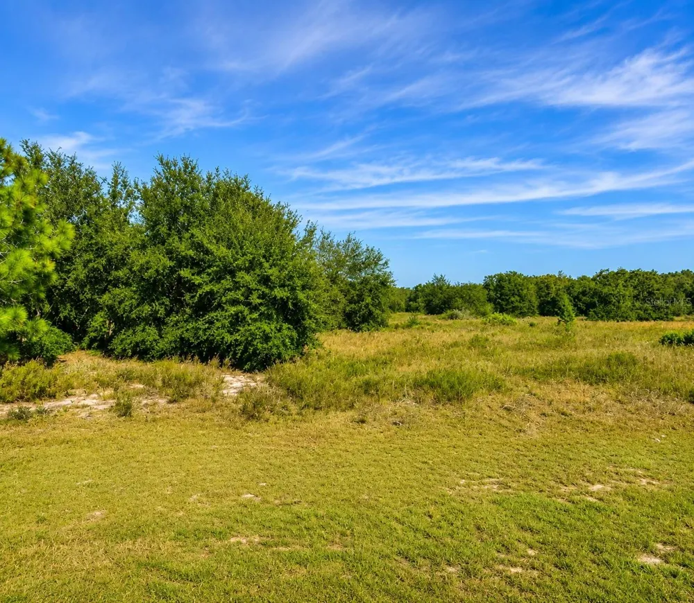 SE 113TH ST RD Ocklawaha, FL 32179