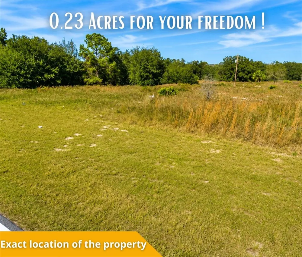 SE 113TH ST RD Ocklawaha, FL 32179