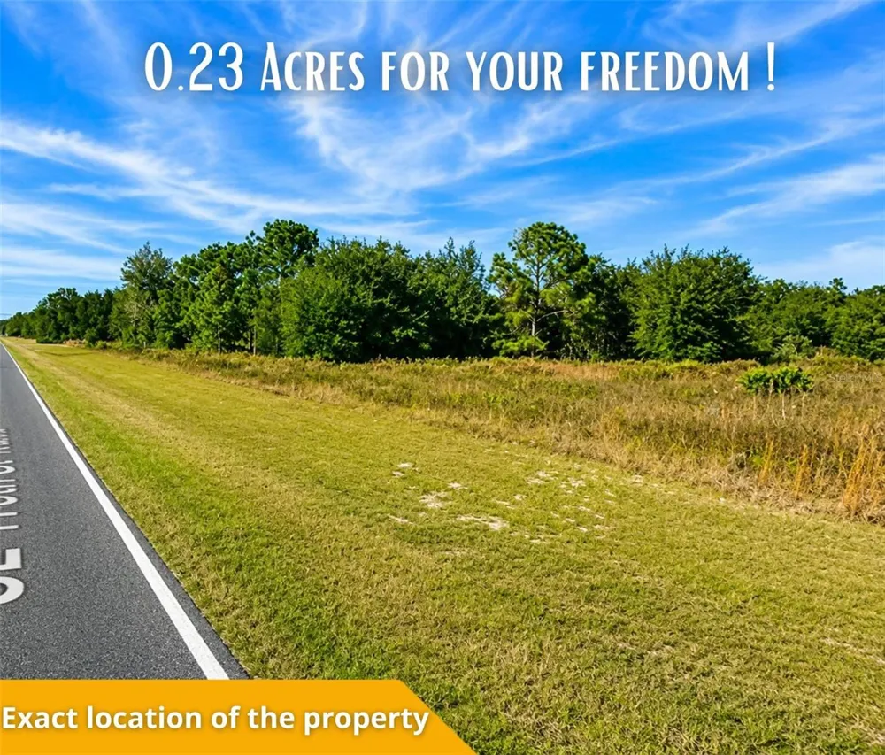 SE 113TH ST RD Ocklawaha, FL 32179