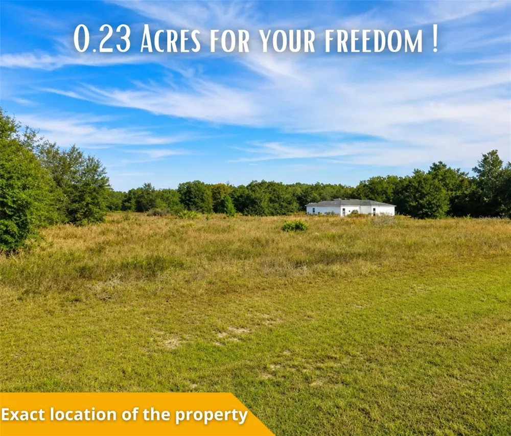 SE 113TH ST RD Ocklawaha, FL 32179