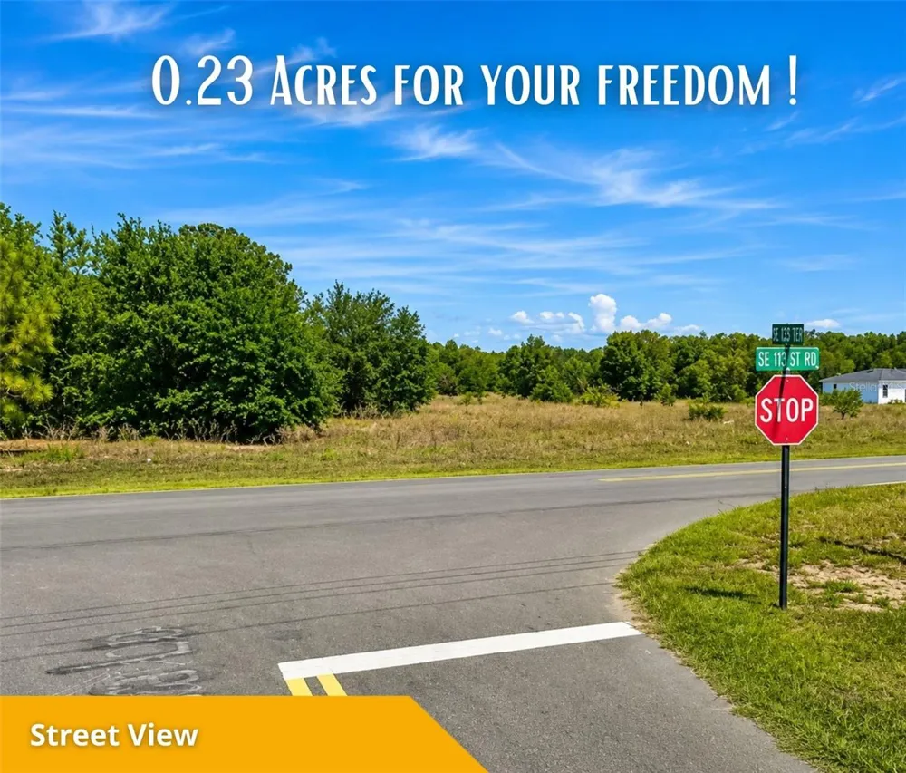 SE 113TH ST RD Ocklawaha, FL 32179