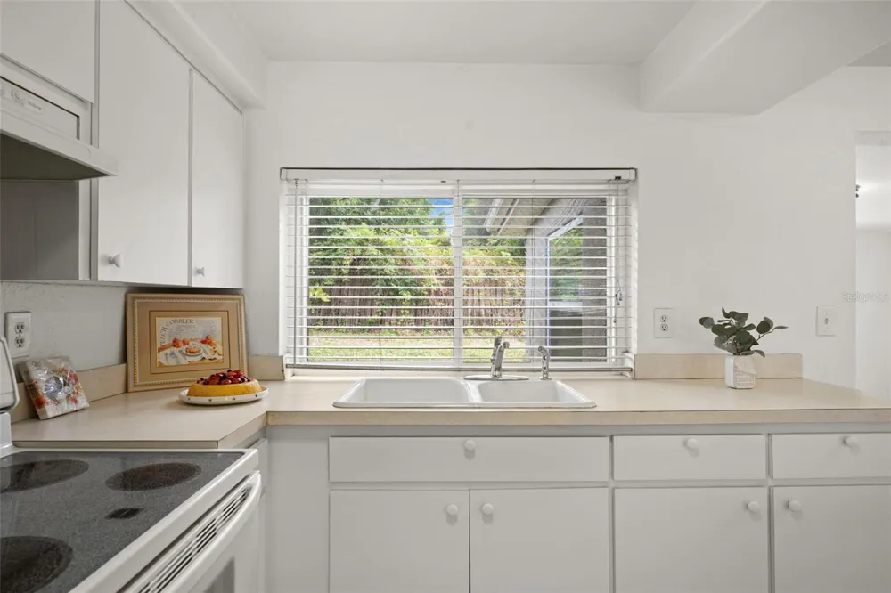 3438 KIMBERLY OAKS DRIVE Holiday, FL 34691