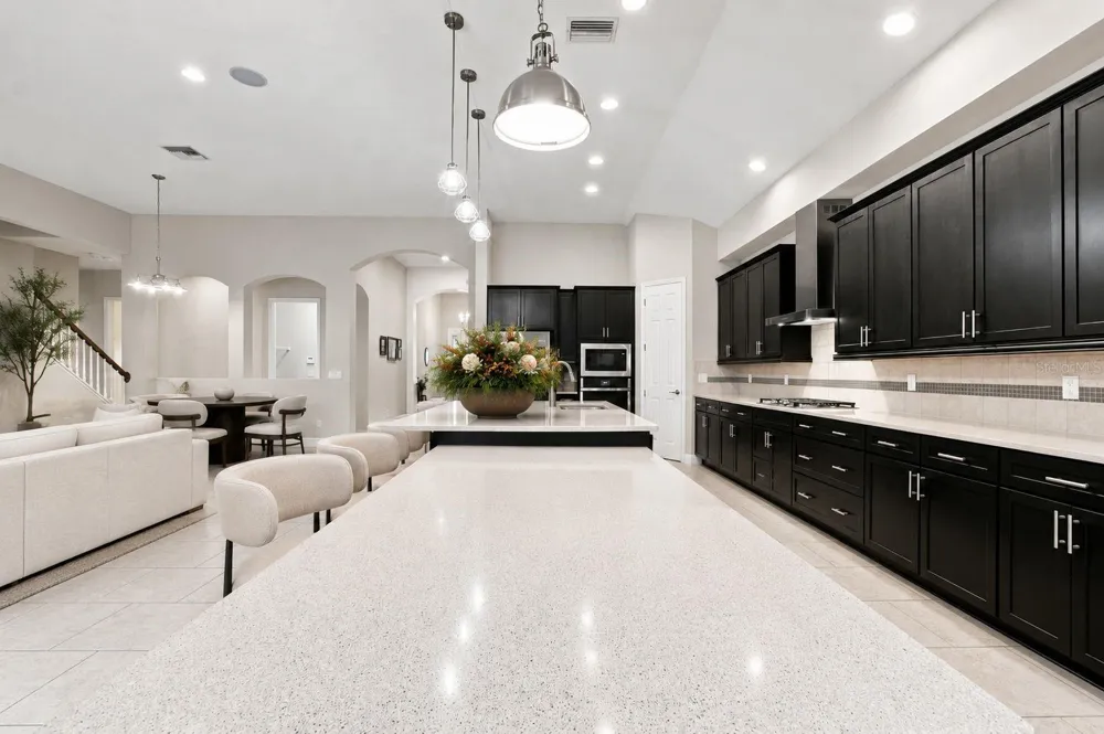 8318 SWISS CHARD CIRCLE Land O Lakes, FL 34637