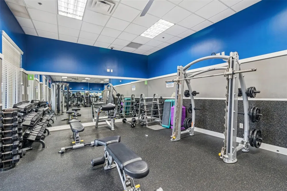 8318 SWISS CHARD CIRCLE Land O Lakes, FL 34637