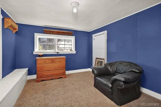 410 Pinon Street Buena Vista, CO 81211