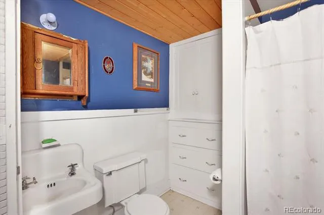 410 Pinon Street Buena Vista, CO 81211