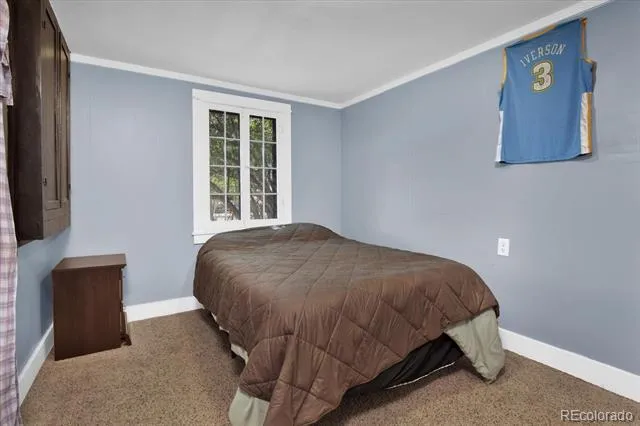 410 Pinon Street Buena Vista, CO 81211