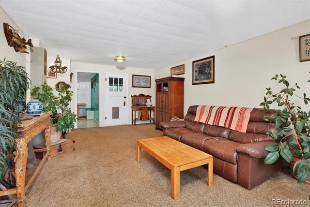 410 Pinon Street Buena Vista, CO 81211
