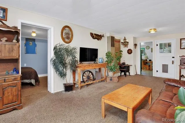 410 Pinon Street Buena Vista, CO 81211