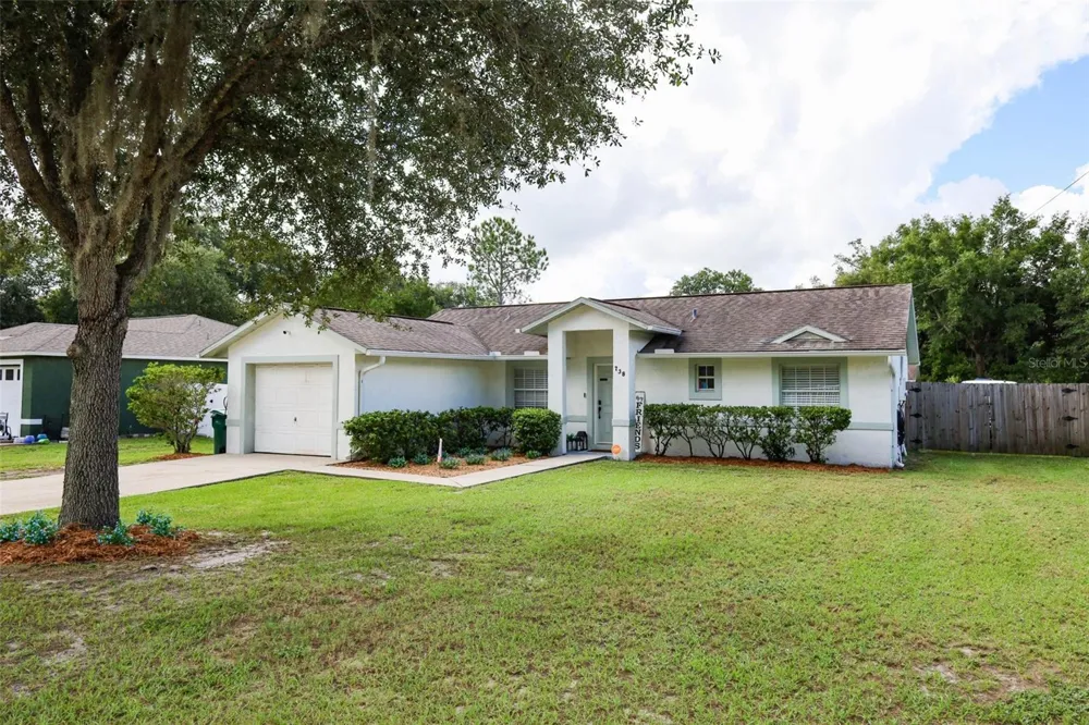 738 E 11TH AVENUE Mount Dora, FL 32757