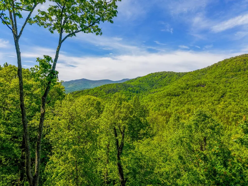 Macs Mountain Retreat Franklin, NC 28734