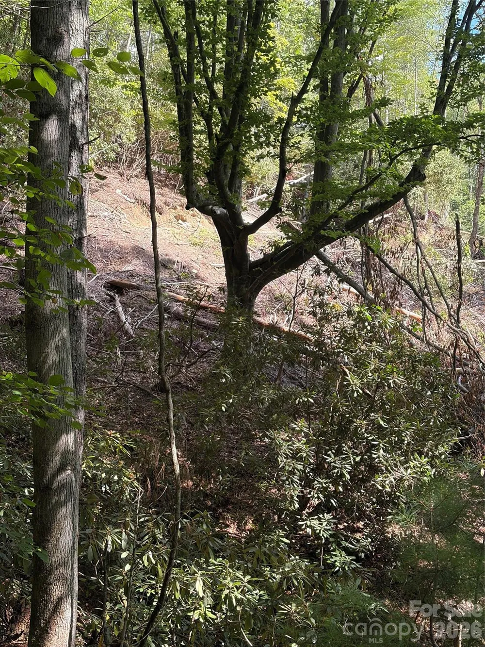 TBD Old Nc Highway 16 Highway Millers Creek, NC 28651