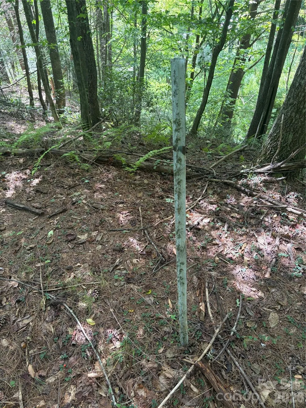 TBD Old Nc Highway 16 Highway Millers Creek, NC 28651