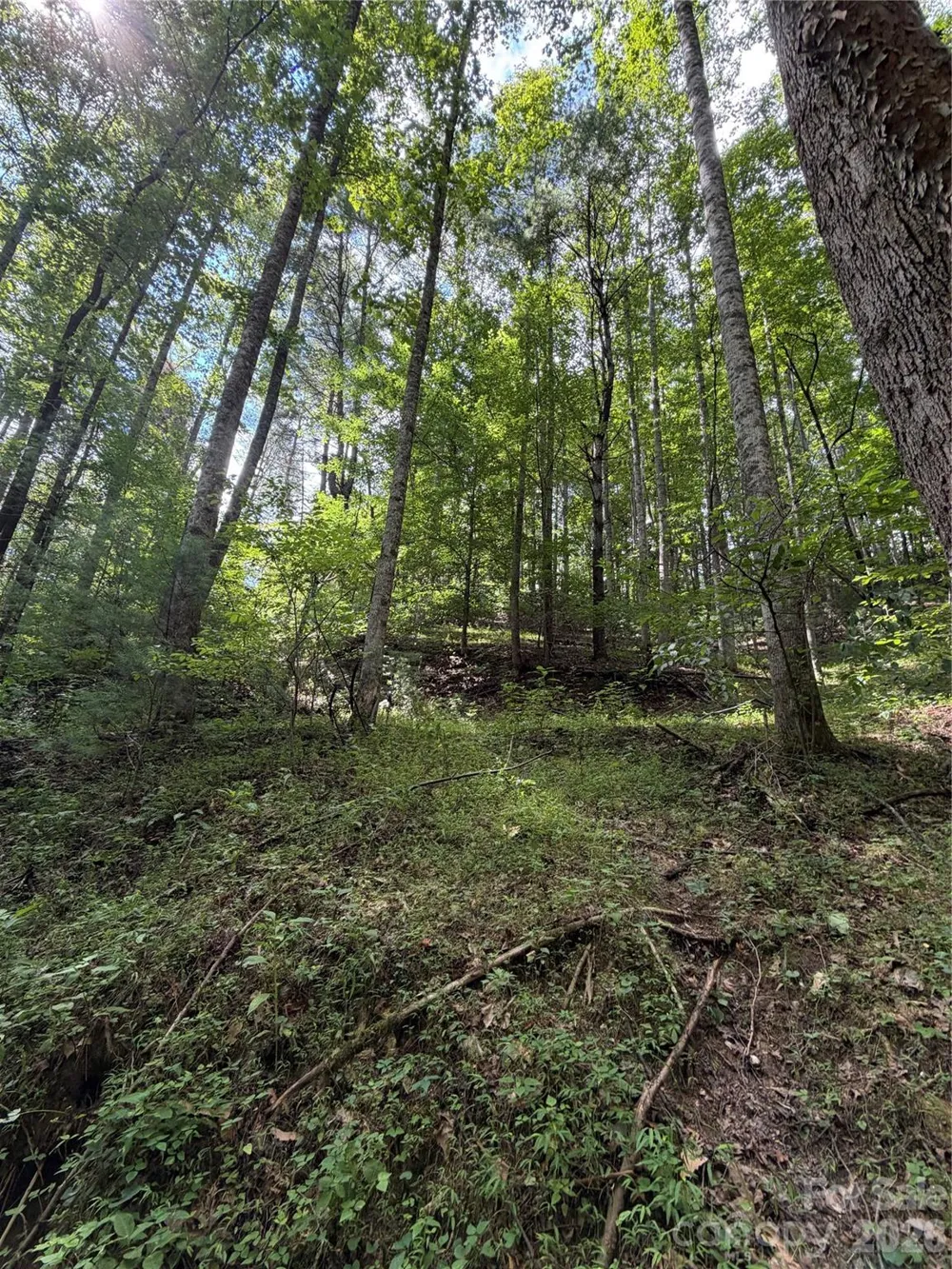 TBD Old Nc Highway 16 Highway Millers Creek, NC 28651