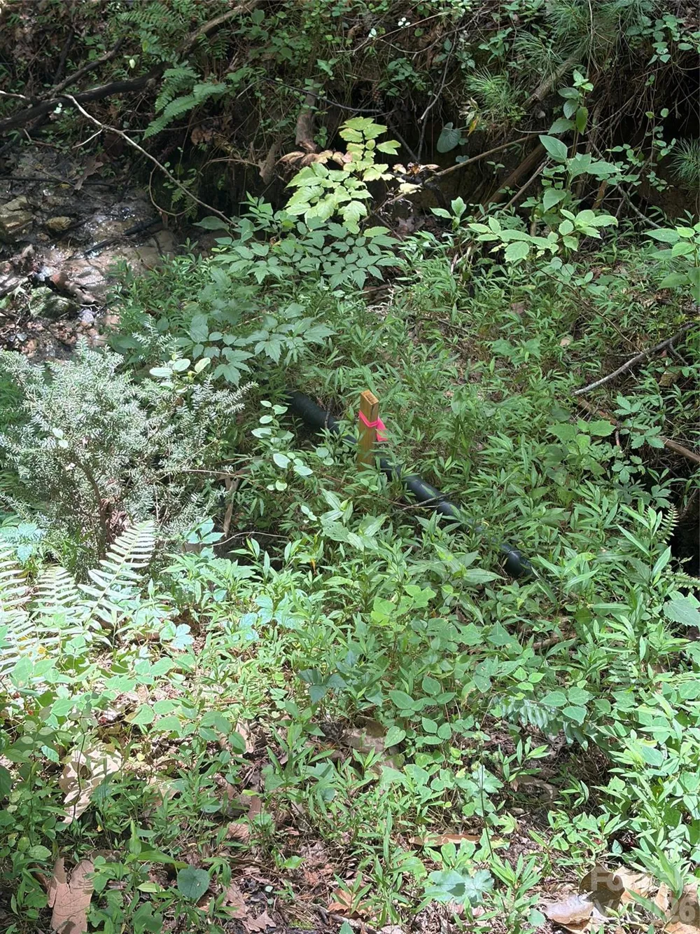 TBD Old Nc Highway 16 Highway Millers Creek, NC 28651