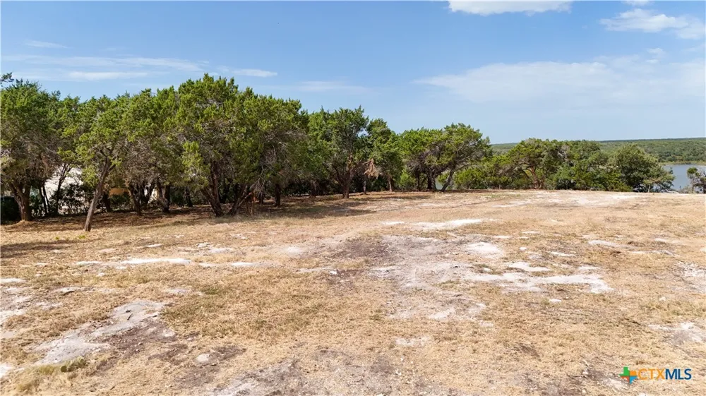 16197 Brazos Court Temple, TX 76502