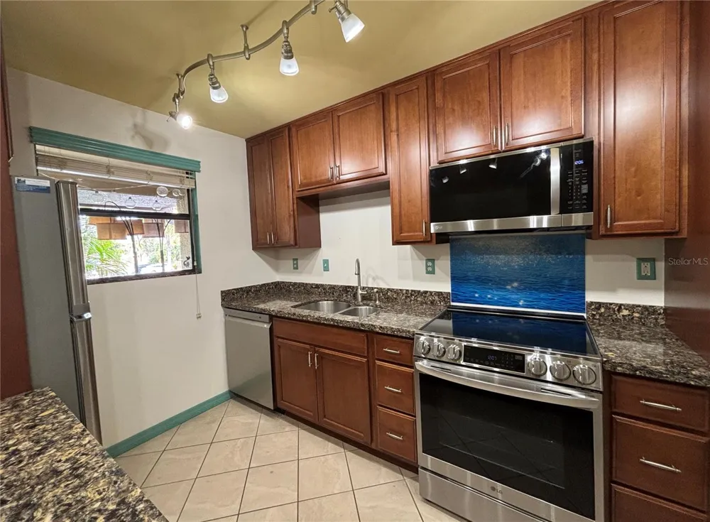 770 VILLAGE LAKE TERRACE #203 St Petersburg, FL 33716